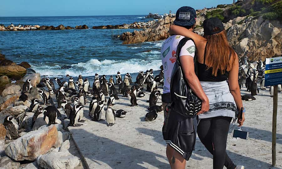 Cape Town: CAPE OF GOOD HOPE AND PENGUINS PRIVATE FULL DAY. - Table Mountain, the optional opening act