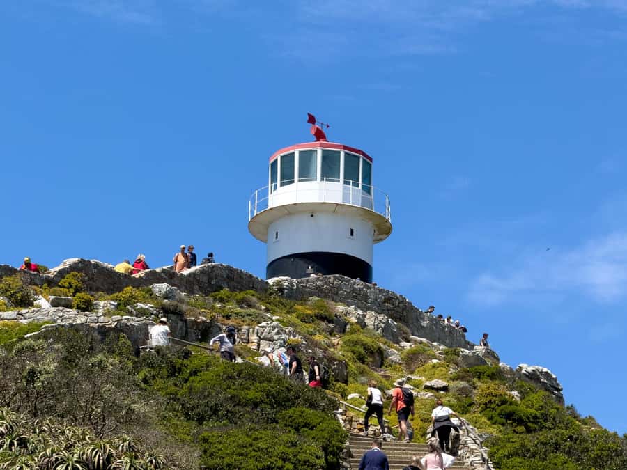 Cape Town: Cape of Good Hope & Penguin Colony Entry Ticket - Who will get the most from this experience