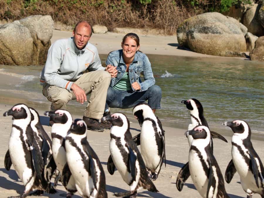 Cape Town: Cape of Good Hope & Penguins Day Tour with Pickup - Why this Cape Peninsula day works so well