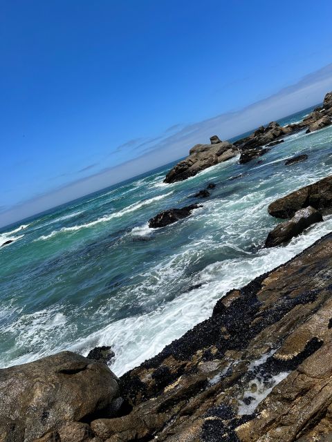 Cape Town: Cape of Good Hope & Penguins Full-Day Guided Tour - Muizenberg’s beach huts and Bo-Kaap’s colorful streets