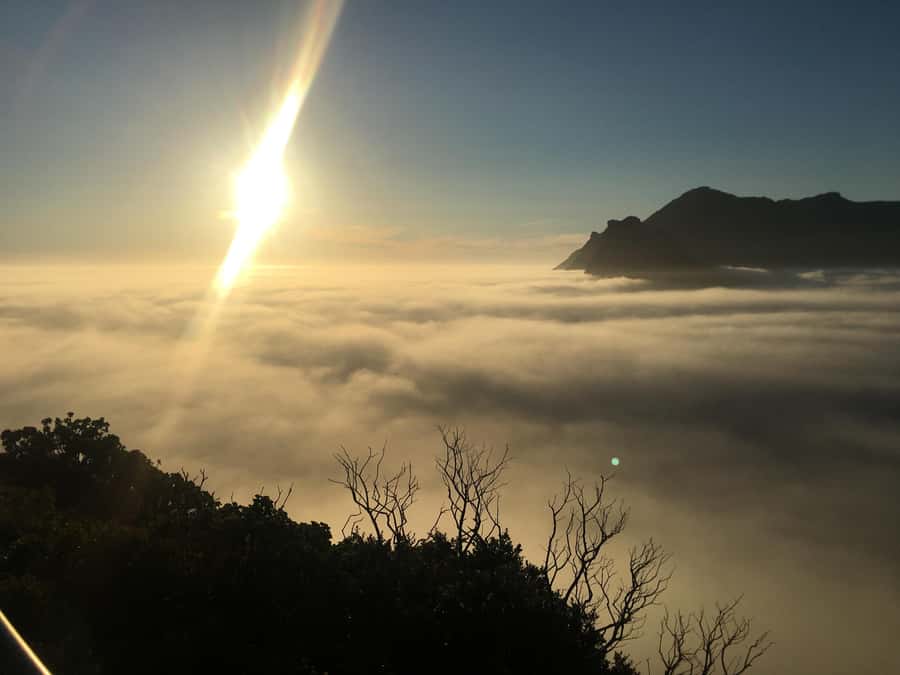 Cape Town: Cape of Good Hope & Penguins Full-Day Guided Tour - Hout Bay, Seal Island, and Chapman’s Peak