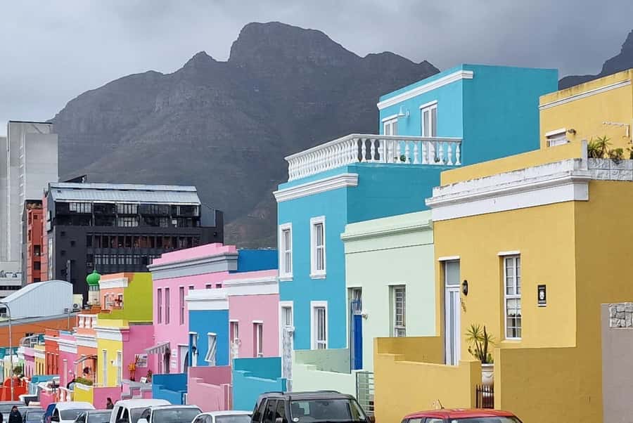 Cape Town: Cape of Good Hope, Penguins Instagram Group Tour - Key points to know before booking
