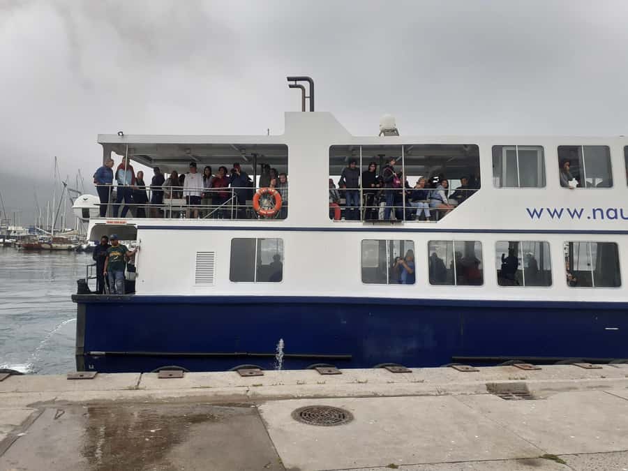 Cape Town: Cape of Good Hope, Penguins Instagram Group Tour - Hout Bay and the optional trip to Seal Island