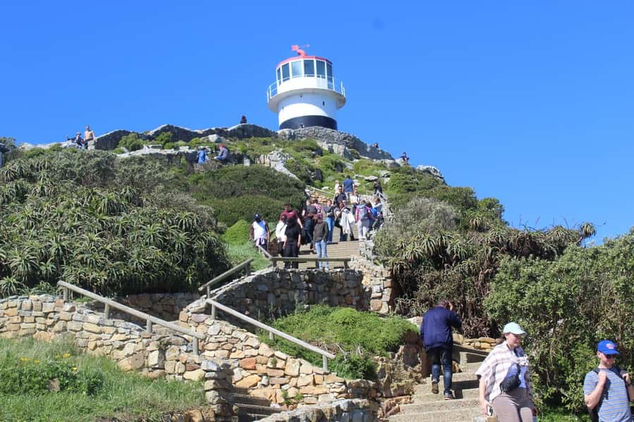 Cape Town: Cape of Good Hope & Penguins Private Scenic Tour - Price, extra fees, and overall value