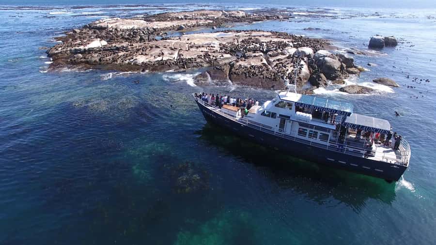 Cape Town: Cape of Good Hope, Seals and Penguins Day Tour - From Bo-Kaap colors to Camps Bay views