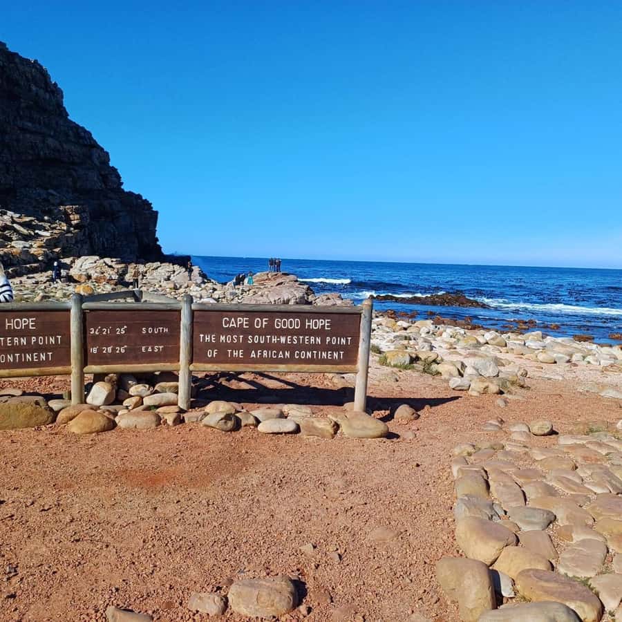 Cape Town: Full Day Cape of Good Hope with Penguins Tour - Why this Cape Peninsula day works so well