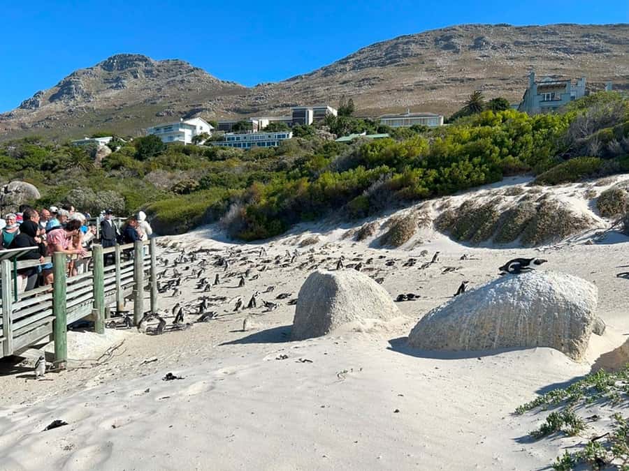 Cape Town: Full Day Cape of Good Hope with Penguins Tour - The lighthouse at Cape Point takes a little effort