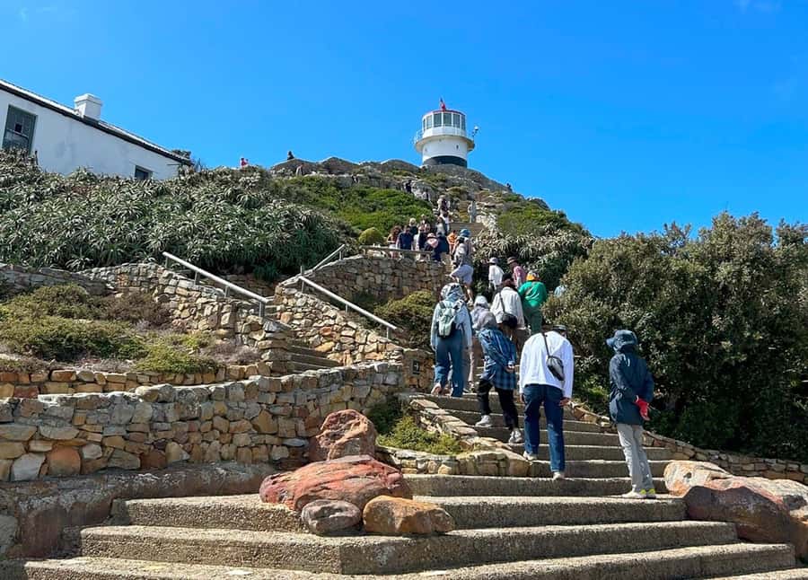 Cape Town: Full Day Cape of Good Hope with Penguins Tour - Lunch, weather, and what to pack