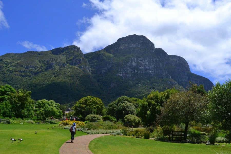 Cape Town: Full-Day Kirstenbosch, Bo-Kaap, and Penguins Tour - Muizenberg, St James, and Kalk Bay along False Bay