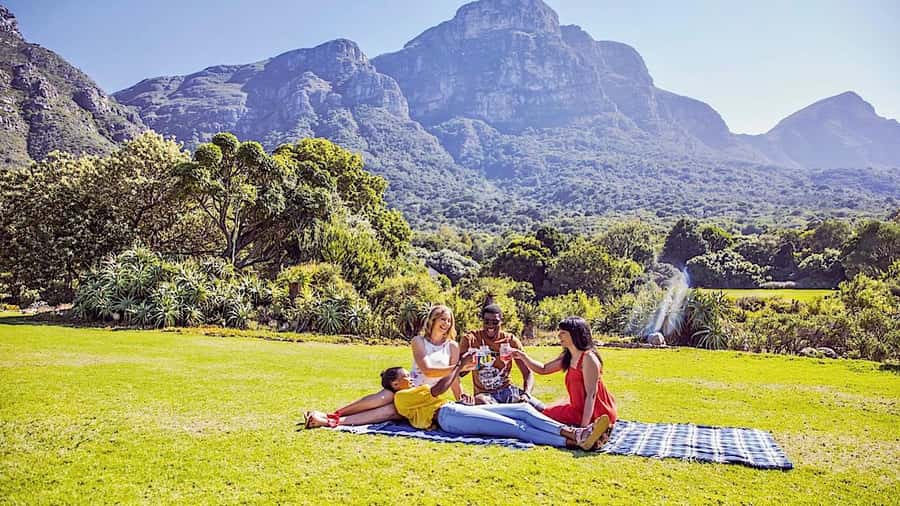 Cape Town: Full-Day Kirstenbosch, Bo-Kaap, and Penguins Tour - Is this tour right for you?