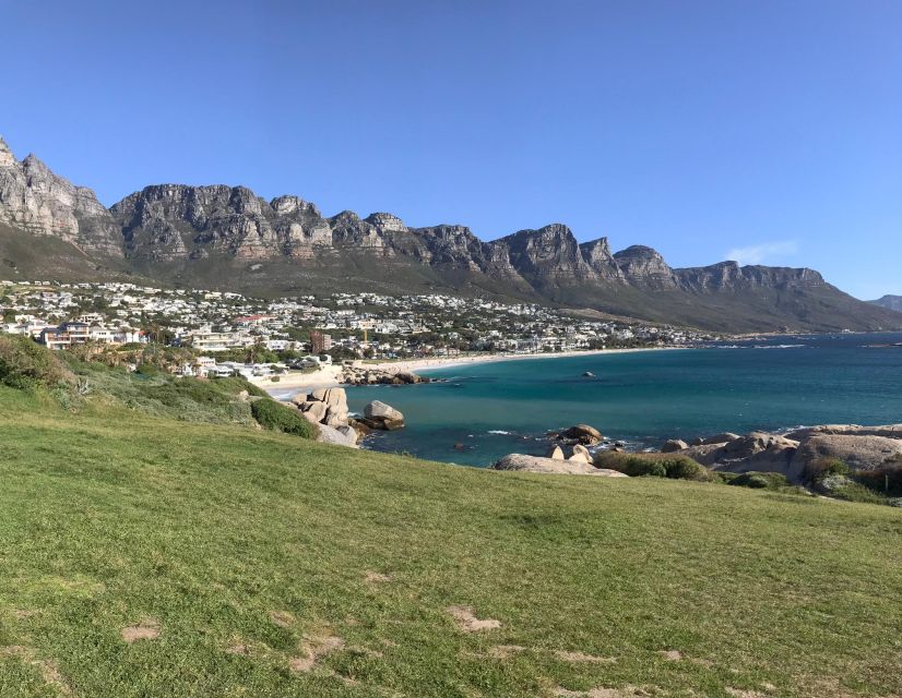 Cape Town: Half-Day Boulders Beach & Penguin Encounter Tour - What the guide adds to the day