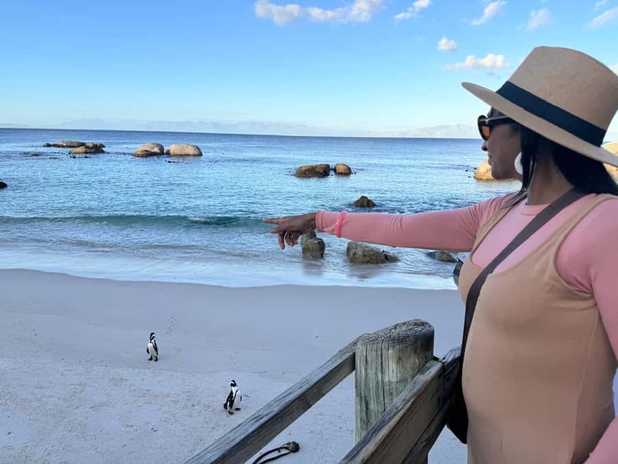 Cape Town: Half-Day Table Mountain and Penguin Group Tour - Bo-Kaap: colorful homes with a real story