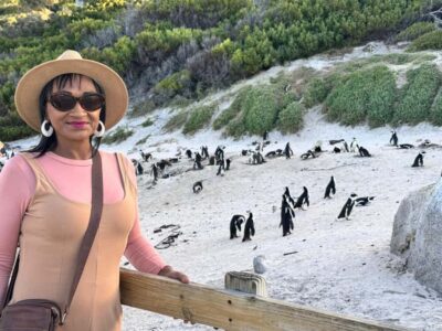 Half-Day Table Mountain and Penguin Group Tour