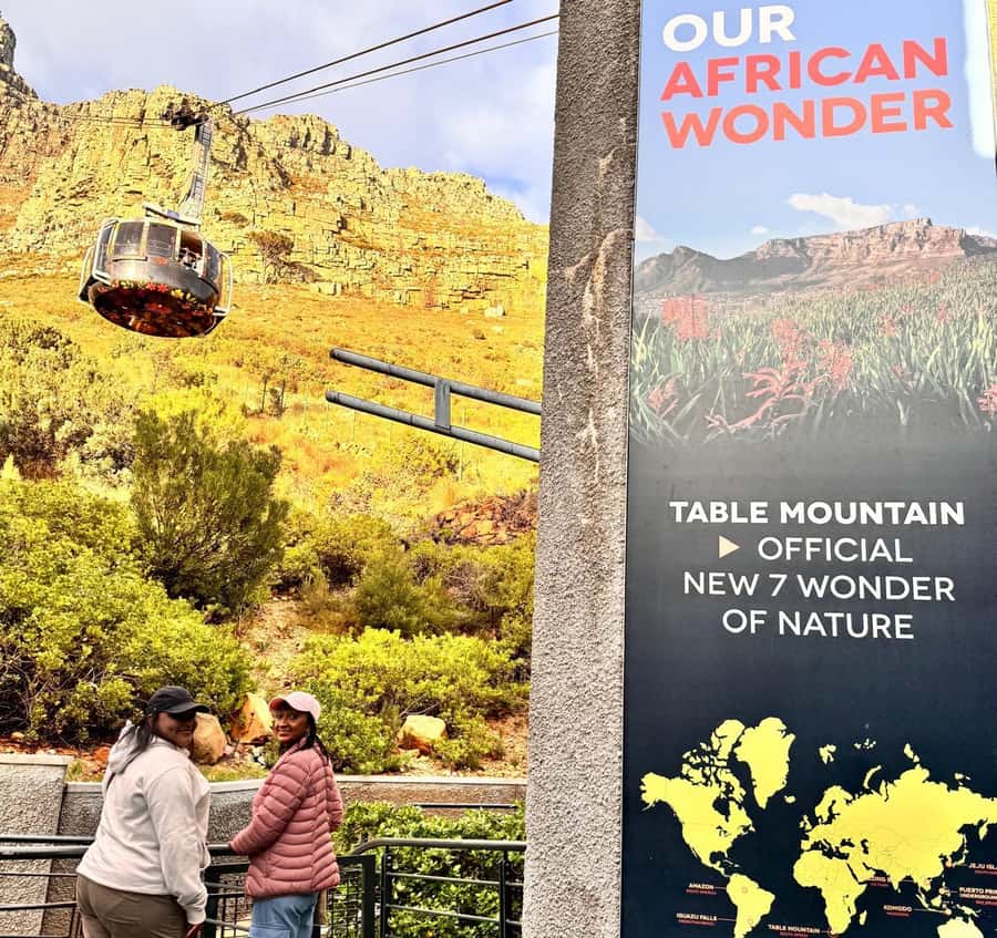 Cape Town: Half-Day Table Mountain and Penguin Group Tour - Who will get the most from this tour?