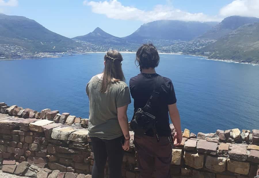 Cape Town: Halfday African Penguin tour - Why the penguins are only part of the story