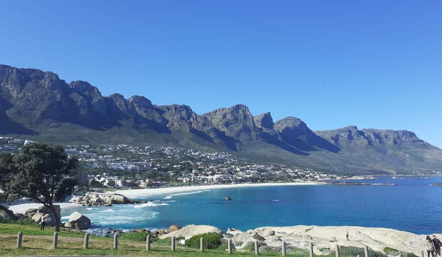 Cape Town: Halfday African Penguin tour - A 20-minute view at Maiden’s Cove