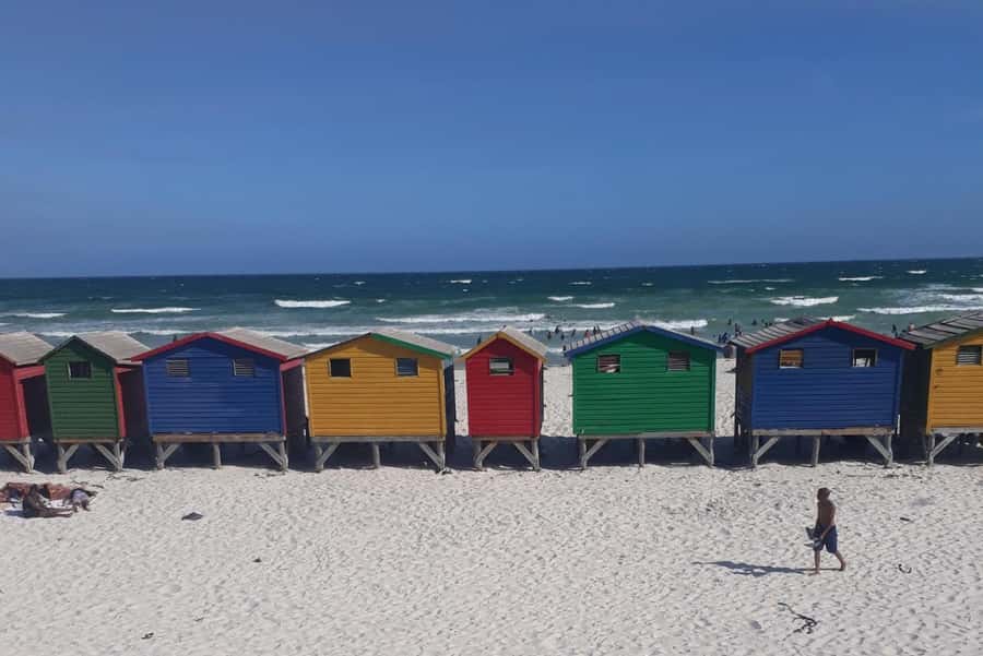 Cape Town: Halfday African Penguin tour - Noordhoek for coffee and a short break