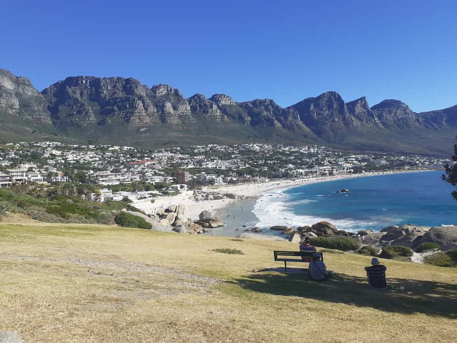 Cape Town: Halfday African Penguin tour - What the guides add to the drive
