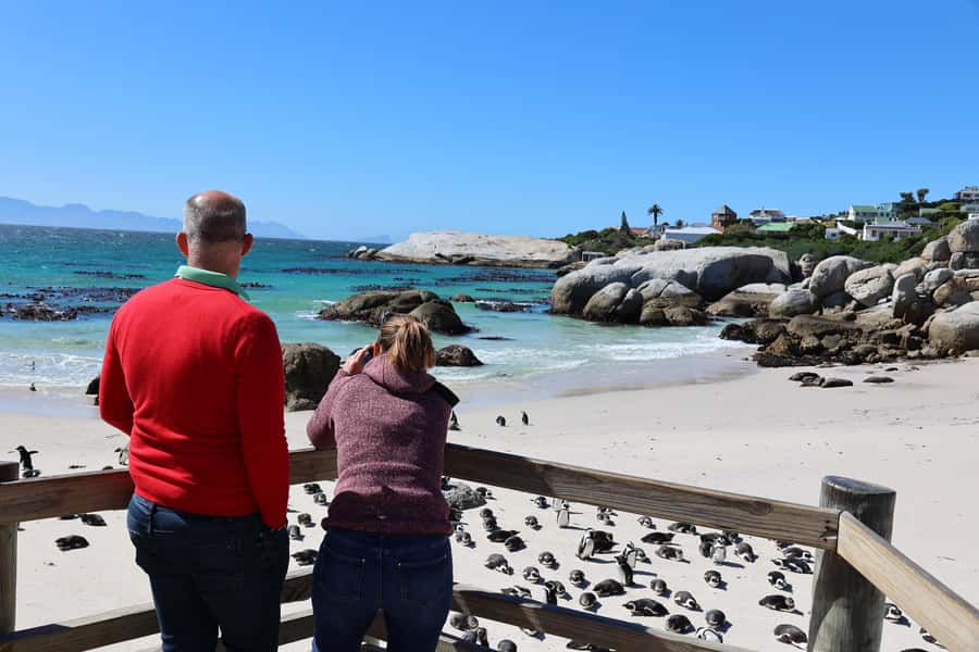 Cape Town: Penguin Watching at Boulders Beach Half Day Tour - Who should book this outing