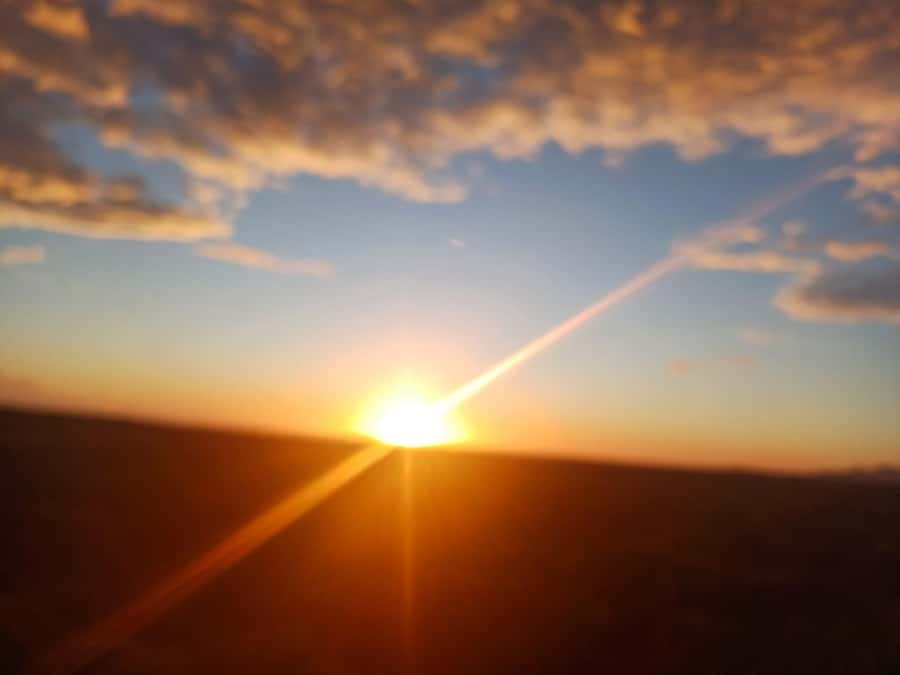 Cape Town: Penguins and Cape of Good Hope Sunset Tour - Why this four-hour Cape Peninsula trip works