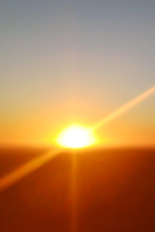 Cape Town: Penguins and Cape of Good Hope Sunset Tour - Guides, vehicles, and the feel of the day