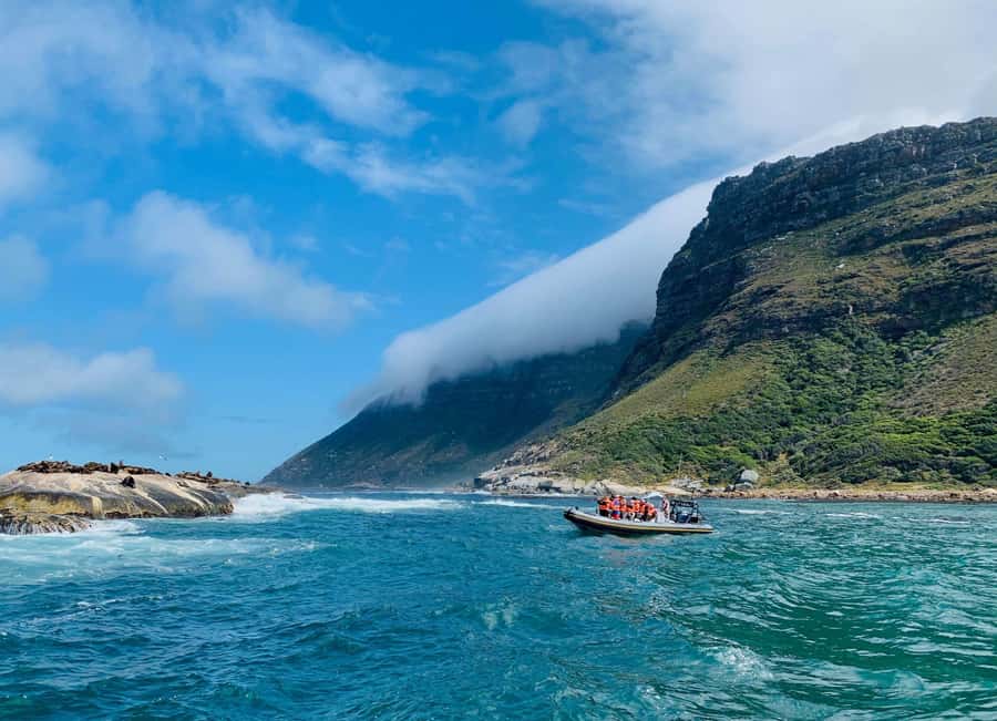 Cape Town: Penguins & Cape of Good Hope Day Tour with Pickup - Why this Cape Peninsula day works