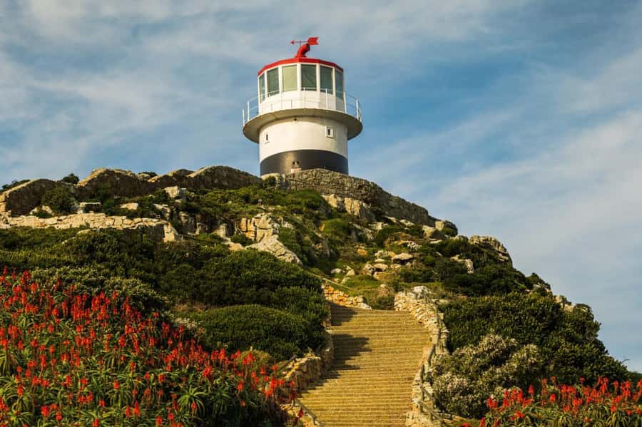 Cape Town: Penguins & Cape of Good Hope Day Tour with Pickup - Cape Point’s lighthouse and open views