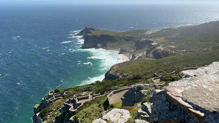 Cape Town: Penguins & Cape of Good Hope Day Tour with Pickup - Who should book this day