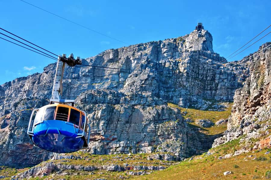Cape Town: Penguins & Cape of Good Hope Half Day Shared Tour - Who should book this tour