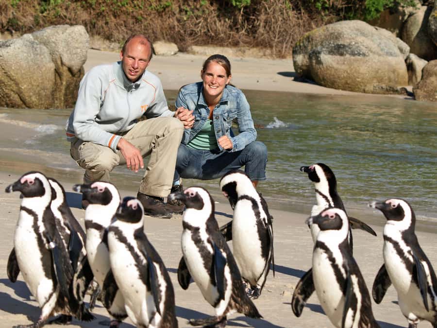 Cape Town: Penguins & Cape of Good Hope Half Day Shared Tour - Muizenberg and the first False Bay views