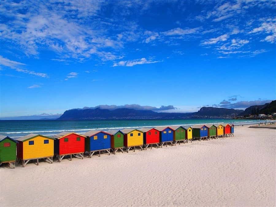 Cape Town: Penguins & Cape of Good Hope Half-Day Tour - Boulders Beach: a close look without entering the colony