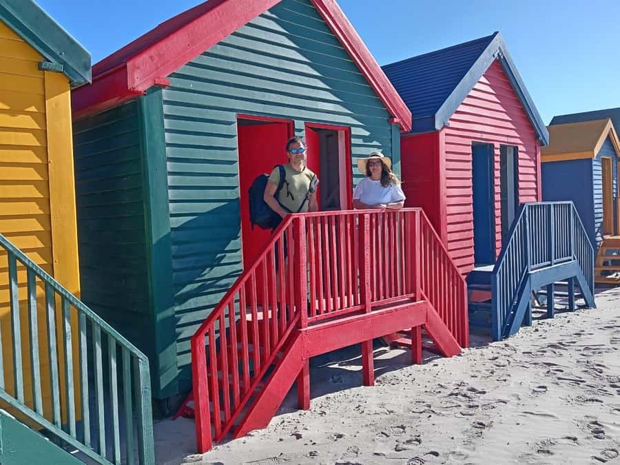Cape Town: Penguins & Cape of Good Hope Half-Day Tour - Timing, walking, and who should book