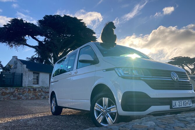 Cape Town: Peninsula, Cape of Good Hope and Penguins Tour - Boulders Beach brings you close to African penguins