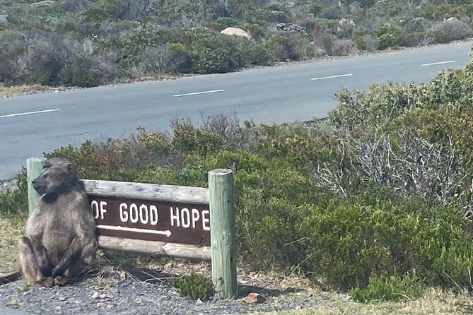 Cape Town: Peninsula, Cape of Good Hope and Penguins Tour - What the $71.27 price really covers