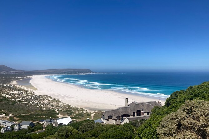Cape Town: Peninsula, Cape of Good Hope and Penguins Tour - The guide can shape the feel of the day