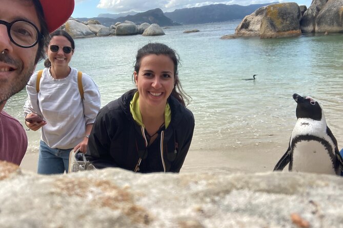 Cape Town: Peninsula, Cape of Good Hope and Penguins Tour - Timing, walking, and what to bring