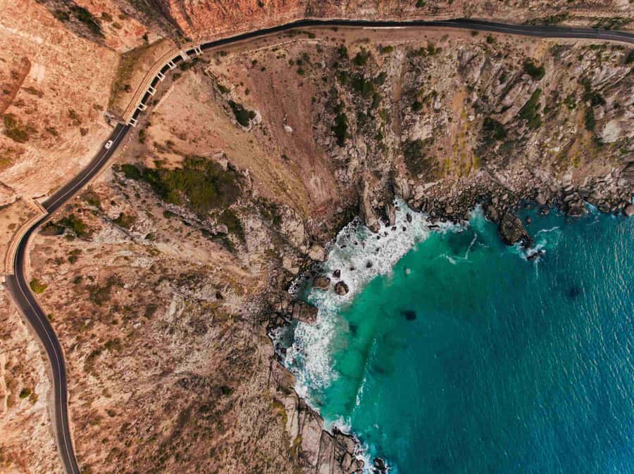 Cape Town: Private Full-Day Cape Point Tour with Penguins - What the guides add to a private day