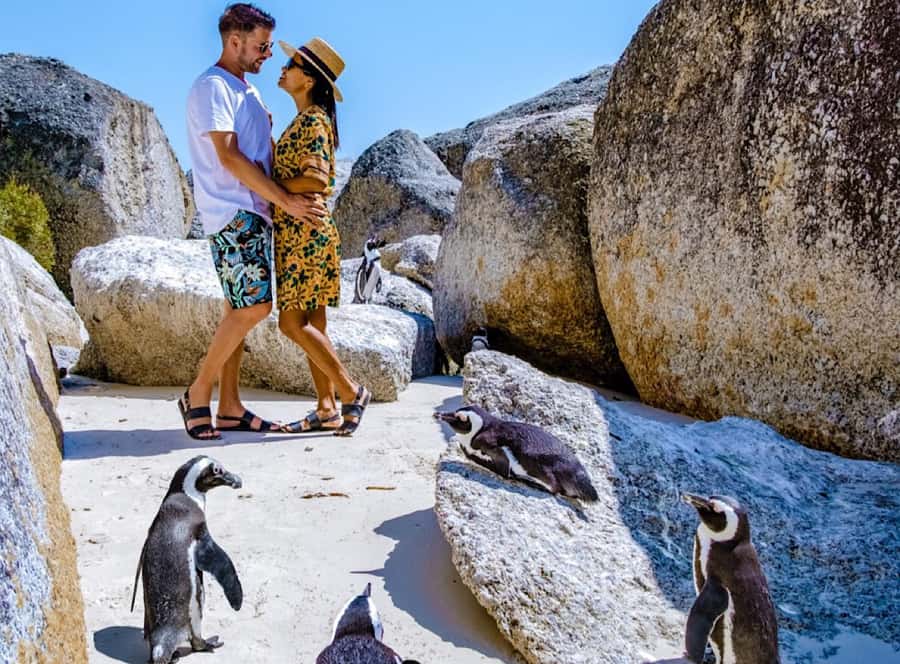Cape Town Private Tour to Cape Of Good Hope and the Penguins - A full day from Bo-Kaap to the Cape of Good Hope