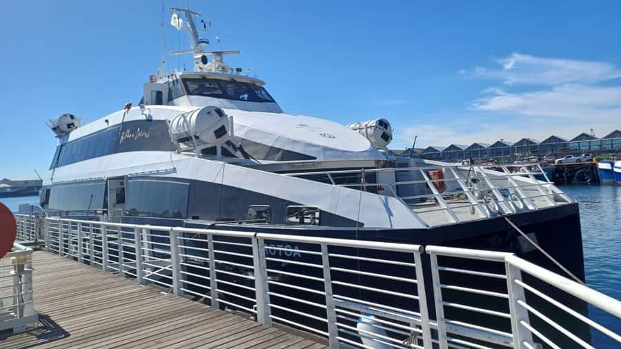 Cape Town: Robben Island, Cape of Good Hope and Penguin Tour - One day, three very different Cape Town experiences