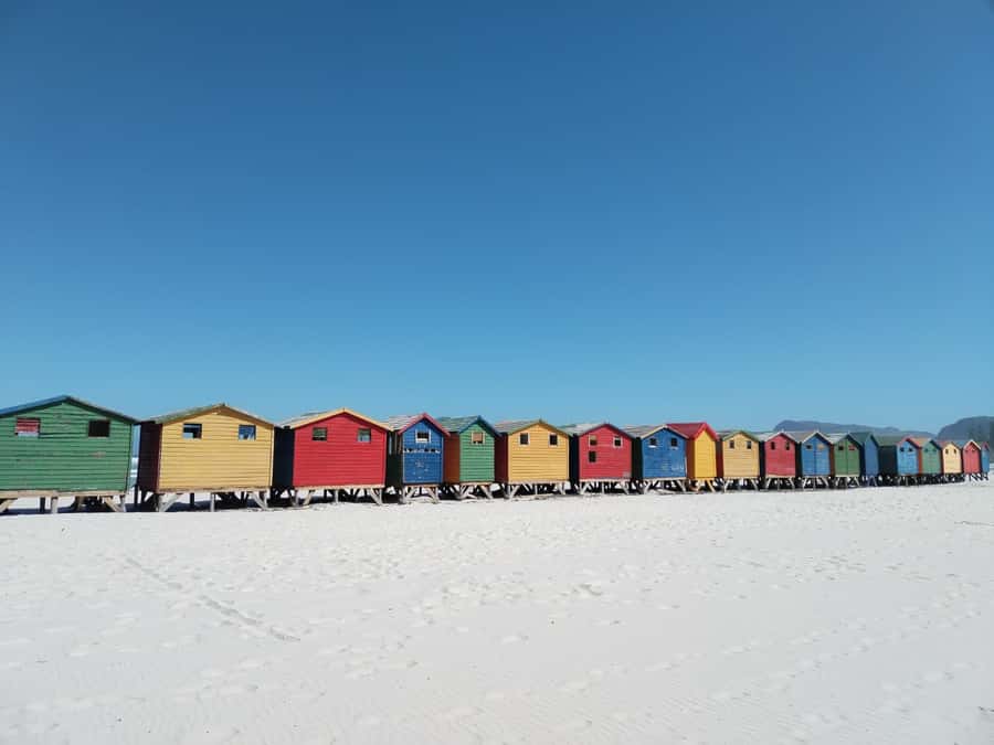 Cape Town: Seal Island, Cape of Good Hope& Penguins Private - Boulders Beach and African penguins