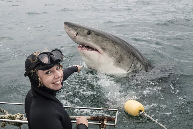 Cape Town: Shark Cage Diving & Penguins Tour to Gansbaai with private transfers - Why this Cape Town wildlife day works