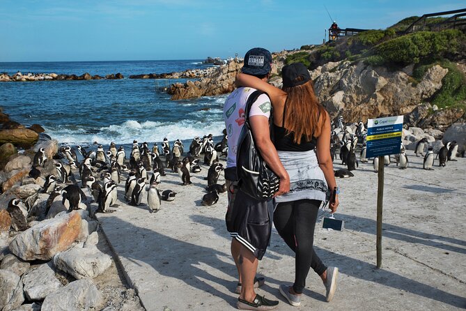 Cape Town: Shark Cage Diving & Penguins Tour to Gansbaai with private transfers - The 6:00 am departure from Cape Town