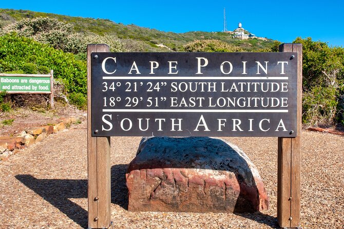 Cape Town Shore Tour: Table Mountain, Penguin & Cape Point - Boulders Beach is the wildlife highlight