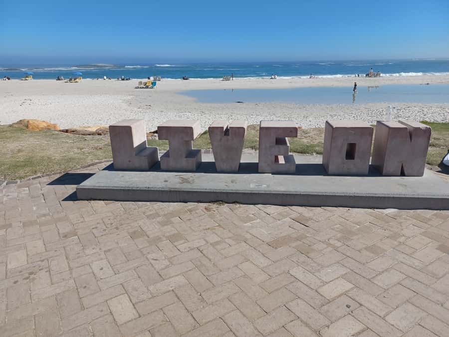 Cape Town: Table Mountain and Penguins Private Guided Tour - Lunch in Simon’s Town