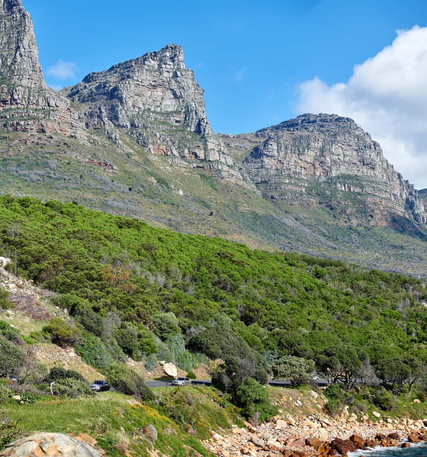 Cape Town: Table Mountain, Cape of Goodhope & Penguins Tour - Why this day tour works for first-time Cape Town visitors