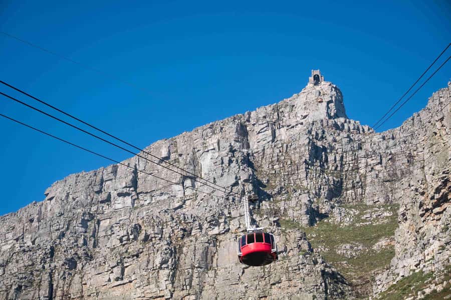 Cape Town: Table Mountain, Cape Point, and Penguins Tour - One day from the city to the Cape Peninsula