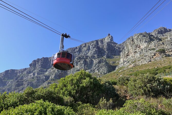 Cape Town Table Mountain Cape Point Penguins Full-Day Private Tour - A big Cape Town day, handled from your hotel