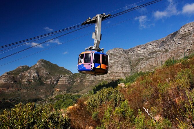 Cape Town Table Mountain Cape Point Penguins Full-Day Private Tour - Bo-Kaap and the story behind the painted houses