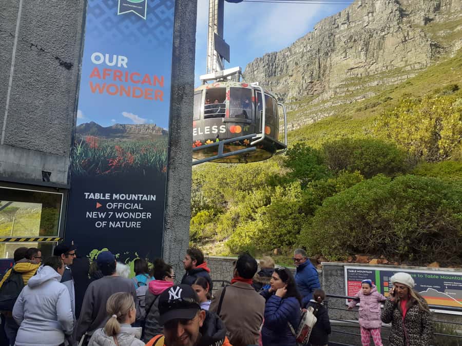 Cape Town: Table Mountain, Cape Point, & Penguins Group Tour - Key points at a glance