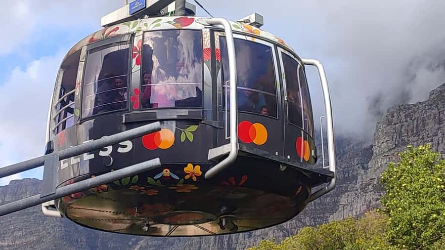 Cape Town: Table Mountain, Cape Point, & Penguins Group Tour - Why this Cape Peninsula day works